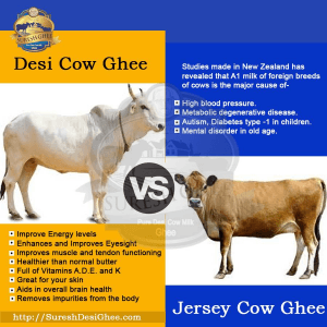 Desi Cow Ghee vs Buffalo Ghee vs Jersey Cow Ghee