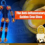 The Anti-Inflammatory Golden Cow Ghee : SureshDesiGhee.com